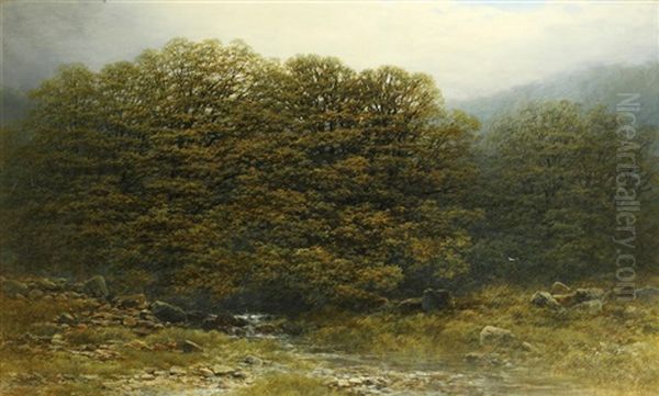 A Wooded Vale Oil Painting by Peter Deakin