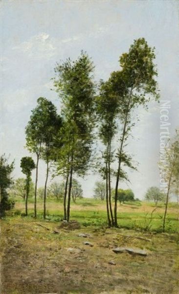 Bouquets D'arbres En Lisiere De Champs Oil Painting by Jean Debrosses