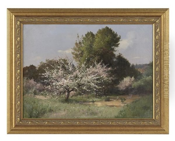 Cerisiers En Fleurs, Pres De Picardie by Albert Decamps