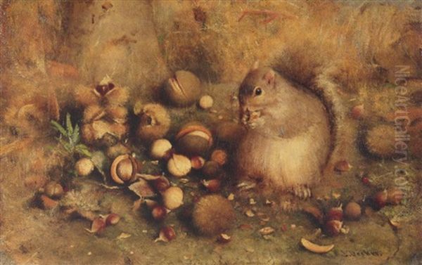 Squirrel With Nuts Oil Painting by Johann Stephan Decker