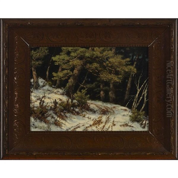 Winter Trail Through Pine Trees At Night Oil Painting by Robert M. Decker