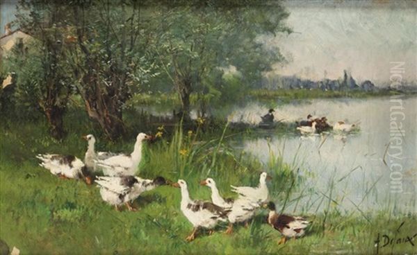 Les Oies Et Canards A Montigny Sur Loing Oil Painting by Alexandre Defaux