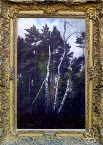 Bouleaux Dans La Foret De Fontainebleau Oil Painting by Alexandre Defaux