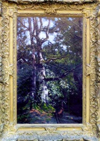 Chevreuil En Foret De Fontainebleau Oil Painting by Alexandre Defaux