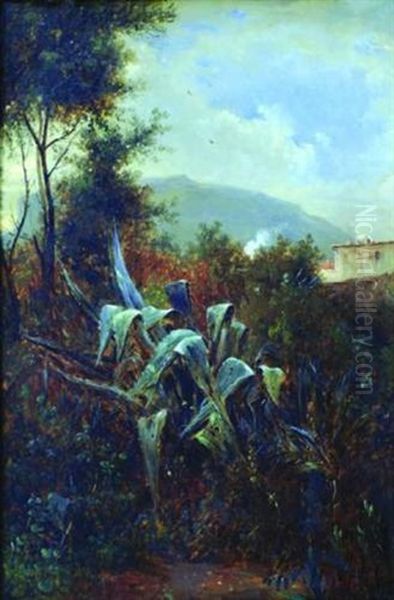 Paysage Aux Agaves Oil Painting by Jean-Joseph-Jules Defer