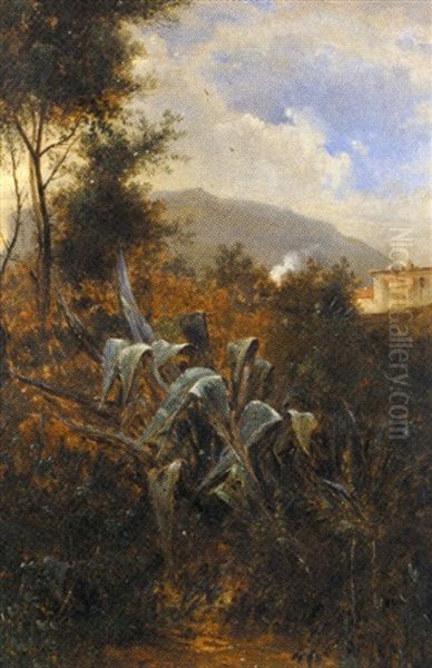 Agaves Dans Un Jardin A Eze Oil Painting by Jean-Joseph-Jules Defer