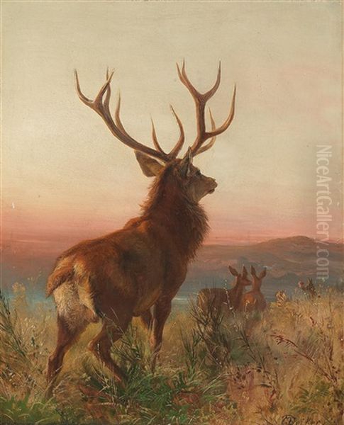 Trophy Stag With Animals At Dusk Oil Painting by Carl Friedrich Deiker