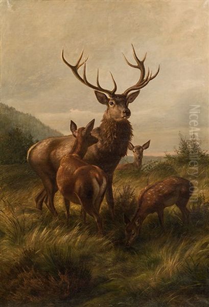 Twelve-pointer With Hinds Oil Painting by Carl Friedrich Deiker