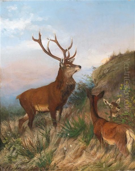 Red Deer At Dusk Oil Painting by Carl Friedrich Deiker