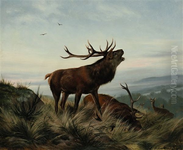 Hirsch Nach Dem Kampf Mit Einem Rivalen Oil Painting by Carl Friedrich Deiker