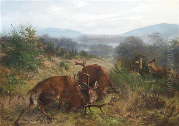 Fighting Stags Oil Painting by Carl Friedrich Deiker