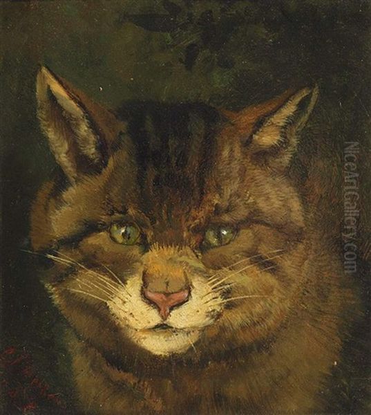 Portrait Einer Deutschen Hauskatze Oil Painting by Carl Friedrich Deiker