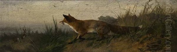 Schnurender Fuchs Oil Painting by Carl Friedrich Deiker