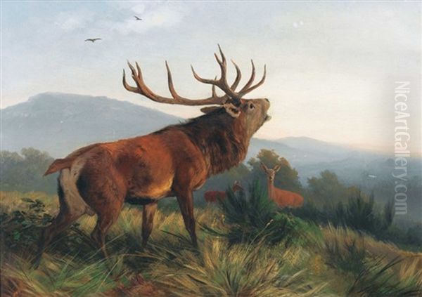 Rohrender Hirsch Mit Rehen Oil Painting by Carl Friedrich Deiker