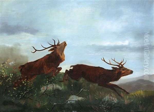 Hirsch Mit Hirschkuh Oil Painting by Carl Friedrich Deiker