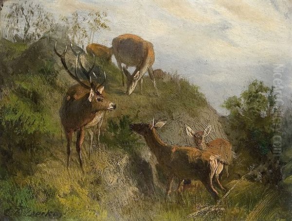 Red Deer On A Hill Oil Painting by Carl Friedrich Deiker