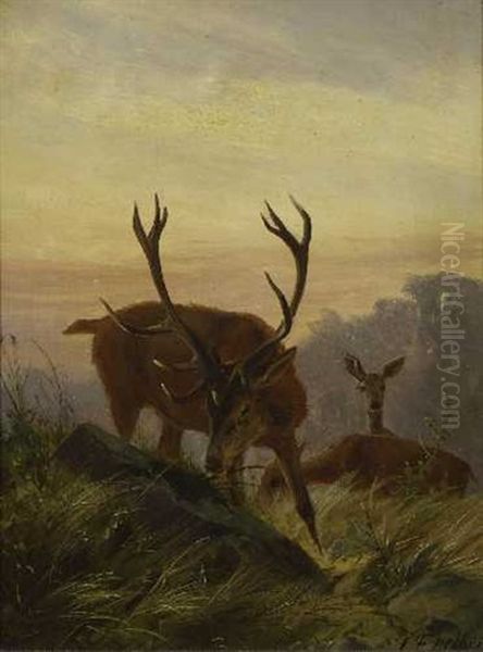 Hirsch Mit Rehen In Der Dammerung Oil Painting by Carl Friedrich Deiker