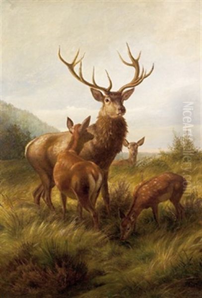 Der Platzhirsch Oil Painting by Carl Friedrich Deiker