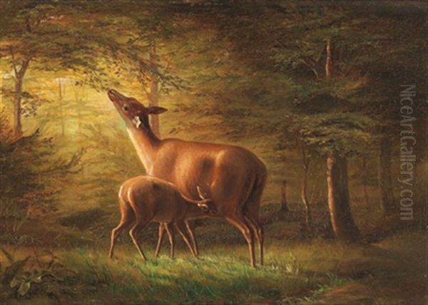 Rehe Mit Kitz Im Wald Oil Painting by Carl Friedrich Deiker