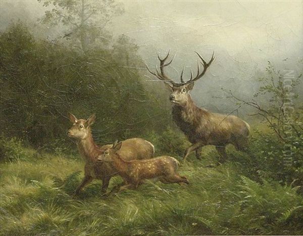 Rotwild Auf Einer Lichtung Im Morgengrauen, Gefahr Witternd Oil Painting by Carl Friedrich Deiker