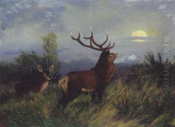 Hirsch Und Rehe Im Abendlicht Oil Painting by Carl Friedrich Deiker