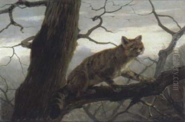 Wildkatze Im Geast Eines Baumes Oil Painting by Carl Friedrich Deiker