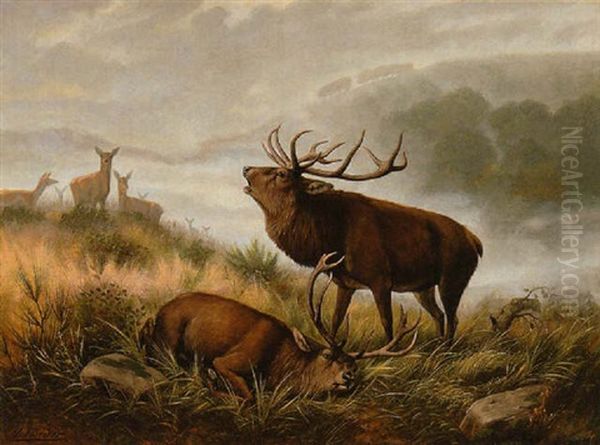 Platzhirsch Oil Painting by Carl Friedrich Deiker