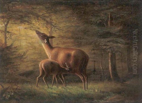 Reh Mit Kitz Im Wald Oil Painting by Carl Friedrich Deiker