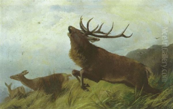 Hirsch Mit Hirschkuhen Am Wiesenhang Oil Painting by Carl Friedrich Deiker