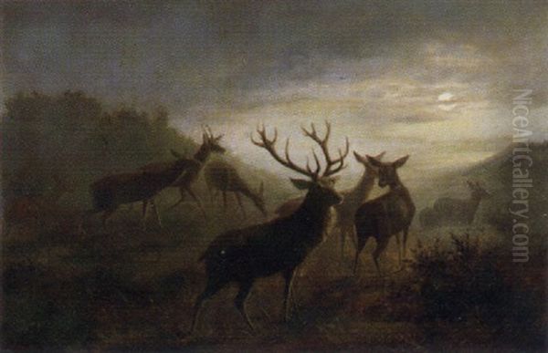 Ein Rudel Hirsche Bei Mondlicht Auf Der Lichtung Oil Painting by Carl Friedrich Deiker