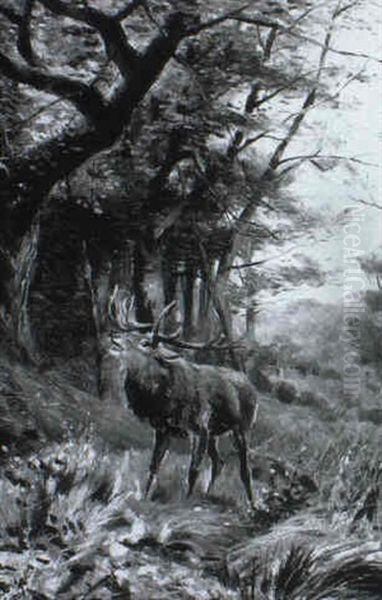 Einsamer Hirsch In Einer Waldlichtung Oil Painting by Carl Friedrich Deiker