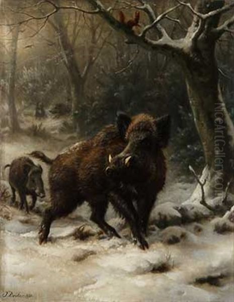 Eichhornchen Beobachtet Rotte Sauen Im Winterwald Oil Painting by Johannes Christian Deiker