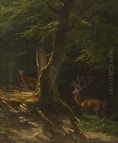 Hirsch Mit Hirschkuhen Im Sommerwald Oil Painting by Johannes Christian Deiker