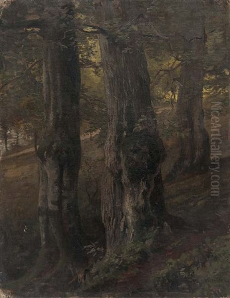 Im Wald Oil Painting by Heinrich Deiters