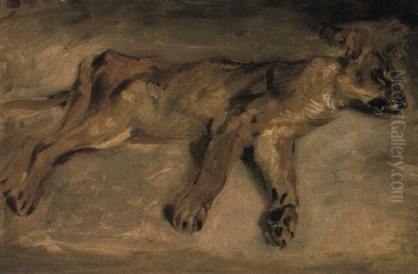 A Sleeping Lioness by Eugene Delacroix