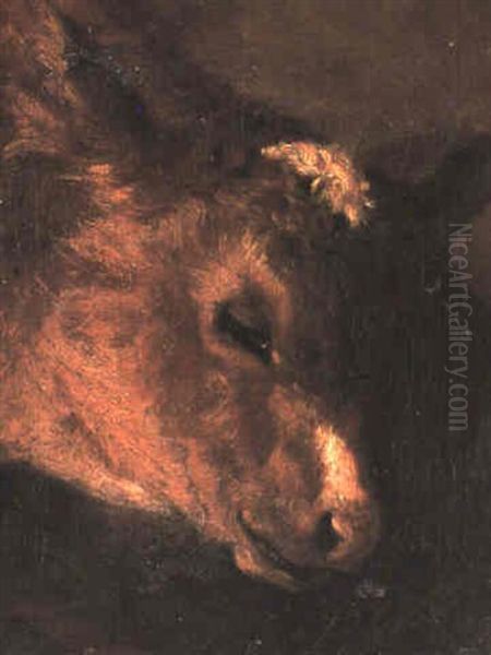 Study Of A Calf's Head Oil Painting by Eugene Delacroix