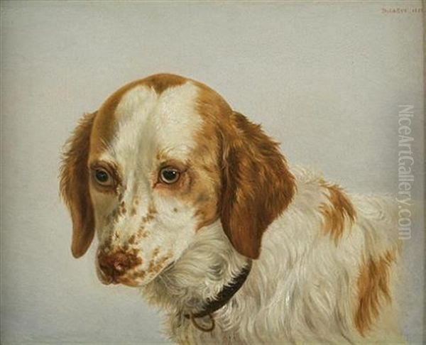 Spaniel Head Study Oil Painting by Henri Delattre