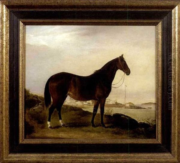 Brood Mare On The Island Of Grosse Isle by Henri Delattre