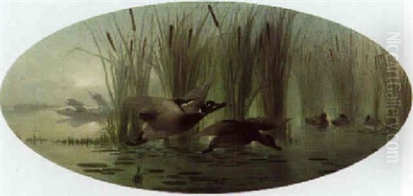 Duck Shooting Oil Painting by Auguste Joseph Delessard