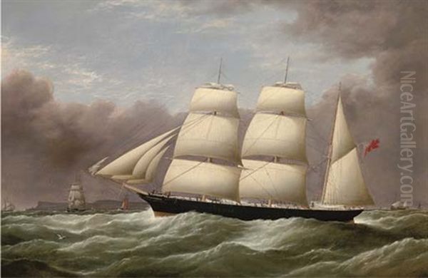 The Barque 