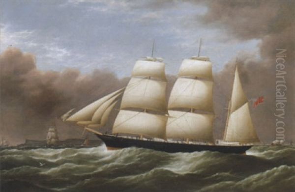 The Barque 