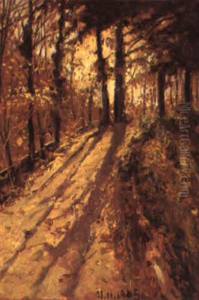 Strada In Un Bosco Oil Painting by Lorenzo Delleani