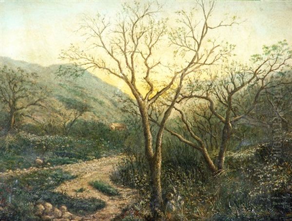 Vista De Un Paraje De Salta Oil Painting by Bernabe Demaria