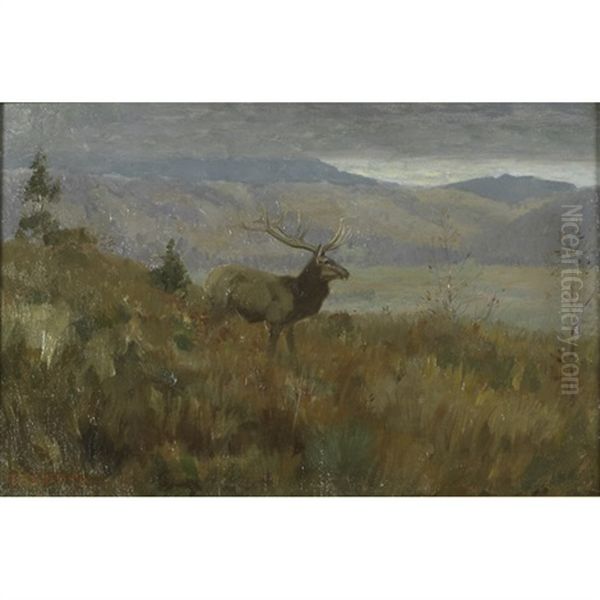 A Stag In A Mountain Landscape Oil Painting by Edwin Willard Deming