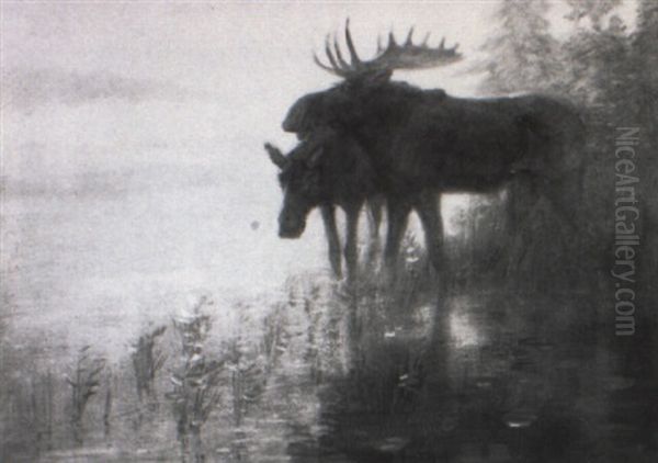 Moose Bull And Cow Oil Painting by Edwin Willard Deming