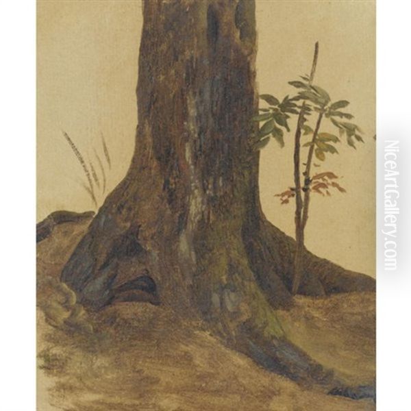 The Trunk Of A Live Oak Oil Painting by Simon-Joseph-Alexandre Clement Denis