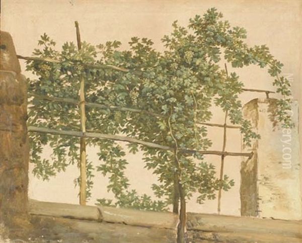 Vue D'une Vigne A Ischia Oil Painting by Simon-Joseph-Alexandre Clement Denis