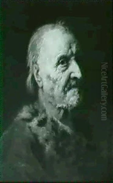 Study Of An Old Man, Possibly A Self- Portrait Oil Painting by Balthazar Denner