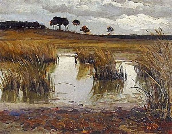 Vue D'etang Oil Painting by Louis Desbois