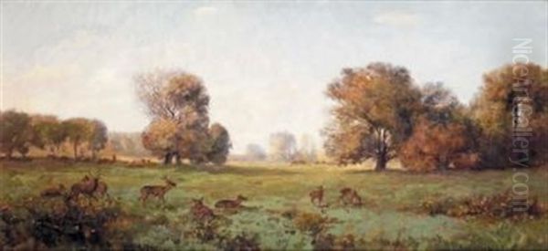 La Horde De Cerfs Oil Painting by Jean Alfred Desbrosses